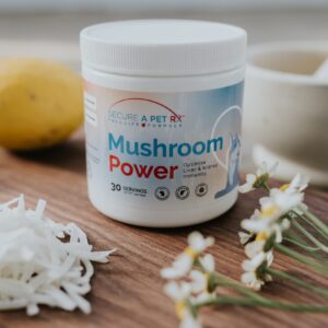 Secure A Pet Mushroom Power from Secure a Pet RX™