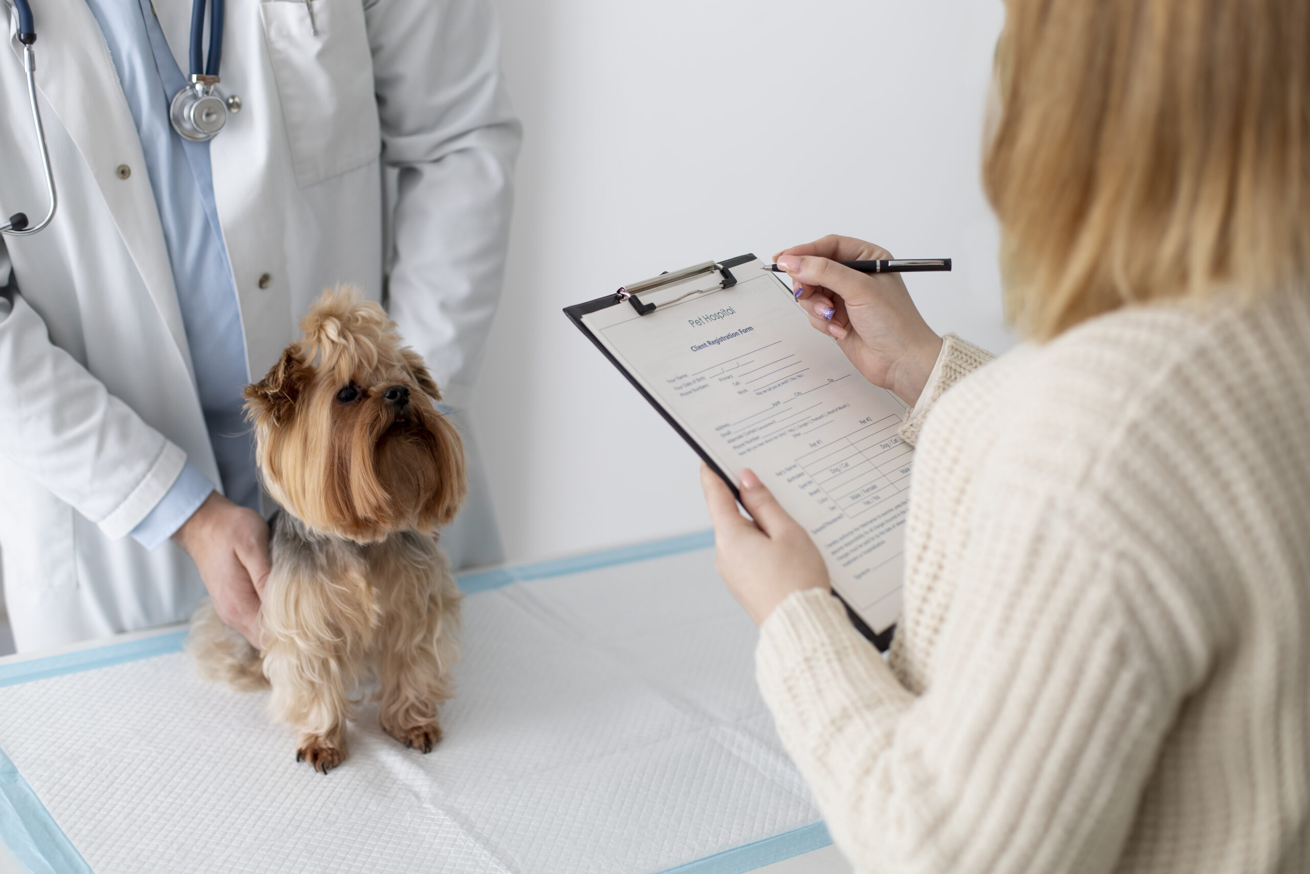 pet health checklist
