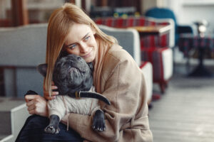 pet obesity in Australia