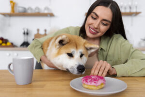 best pet food for dogs with skin allergies
