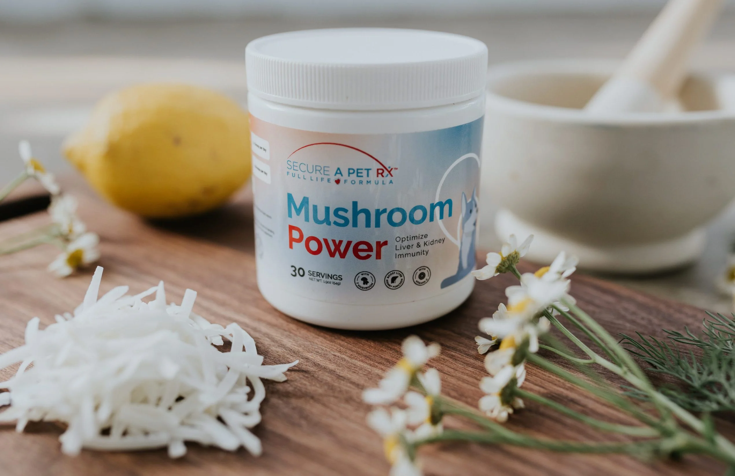Mushrooms for Pet Health