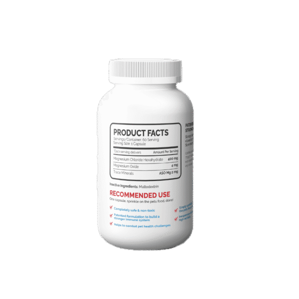 Secure-Boost-capsule-Jar-mockup-04 Secure Boost™ Dog Immune Support