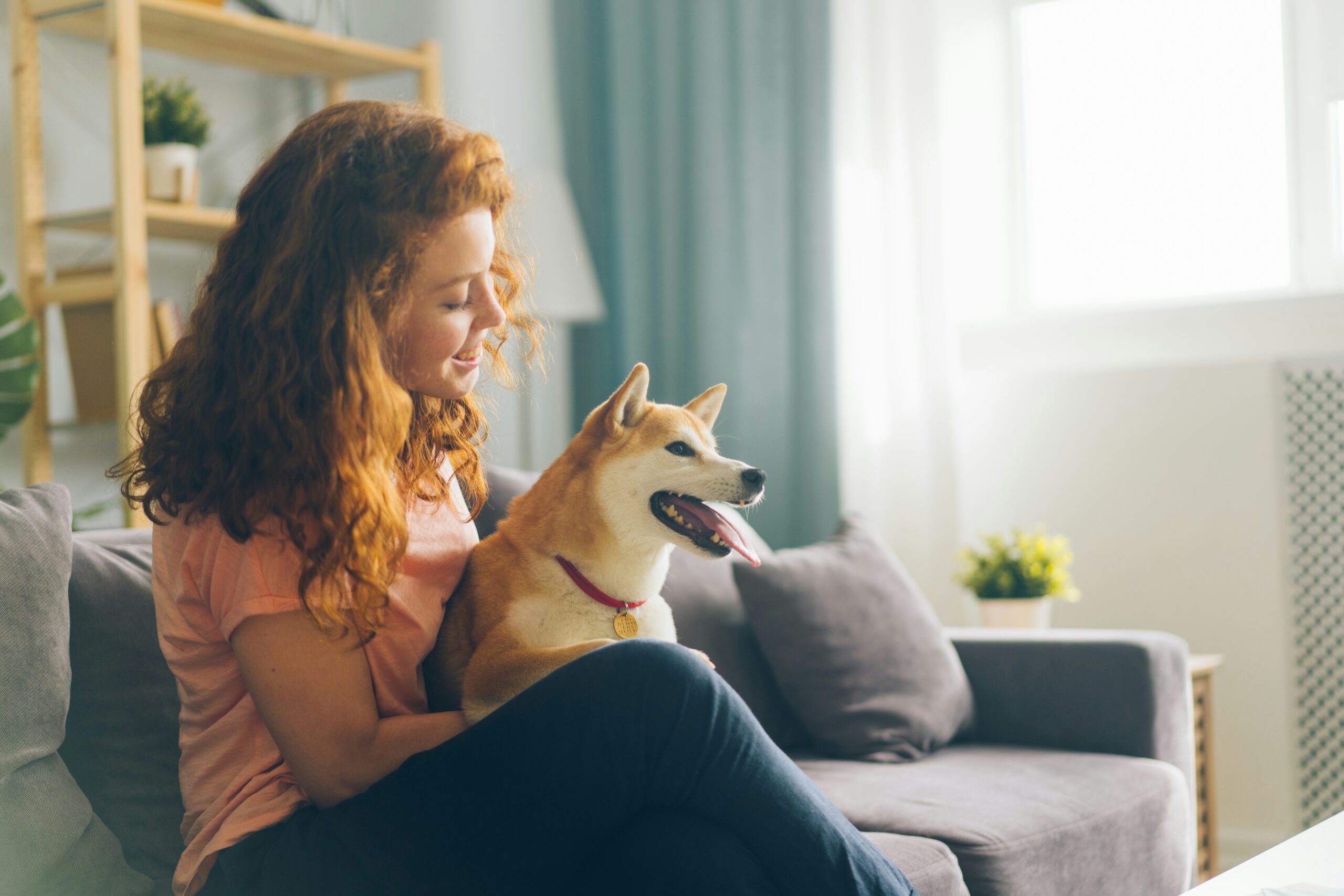 vitaly-gariev-K5BkbSZd46E-unsplash Secure Boost™ Dog Immune Support