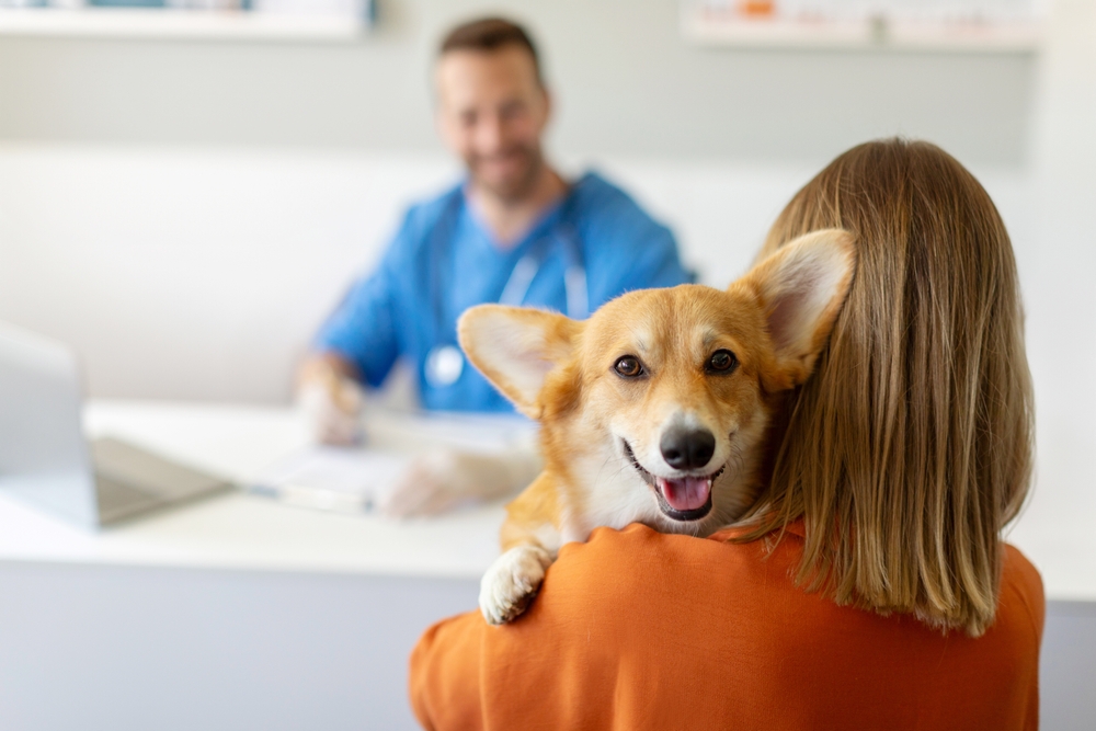 Vet Recommended Dog Multivitamin Chews