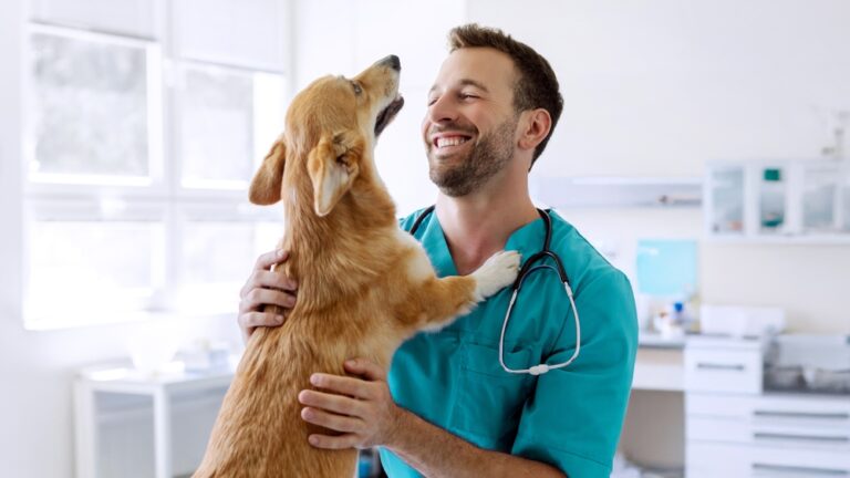 Vet Recommended Dog Multivitamin Chews