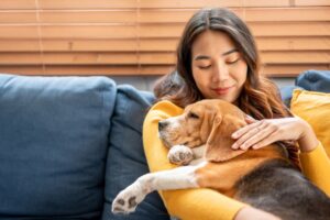 dog multivitamin soft chews Australia