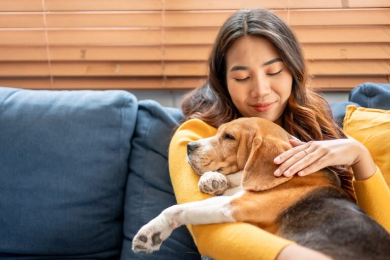 dog multivitamin soft chews Australia