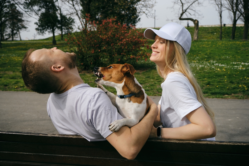 calming supplements for dogs