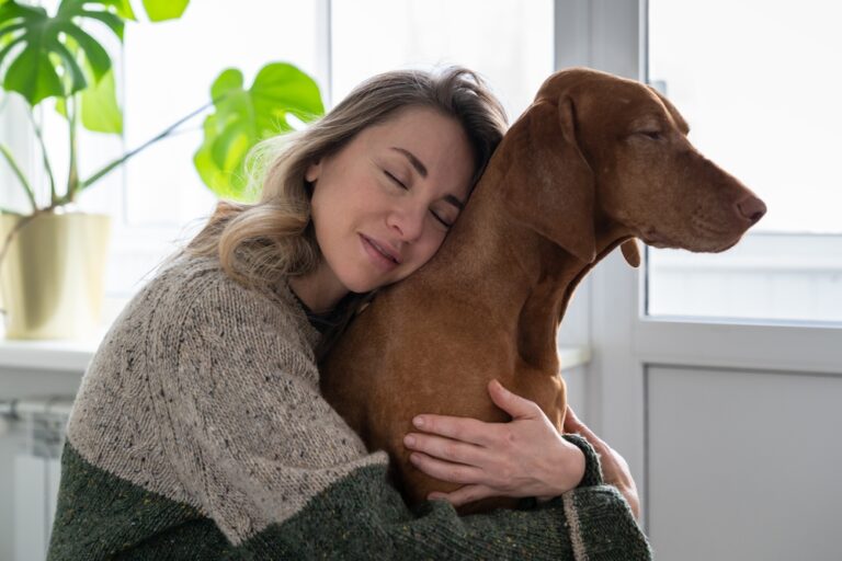 Dog Is Struggling With Anxiety