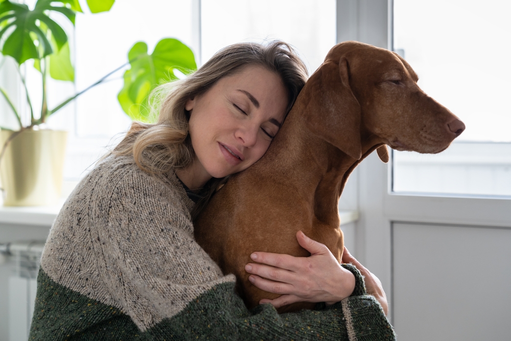 Dog Is Struggling With Anxiety