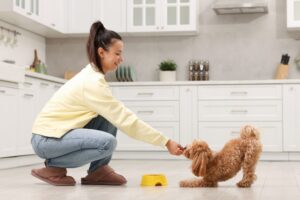 Puppy May Need Extra Nutritional Support