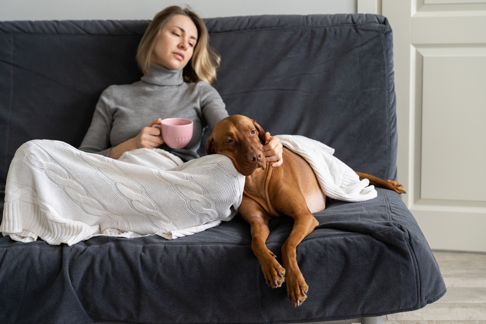 Dog Struggling to Get Up
