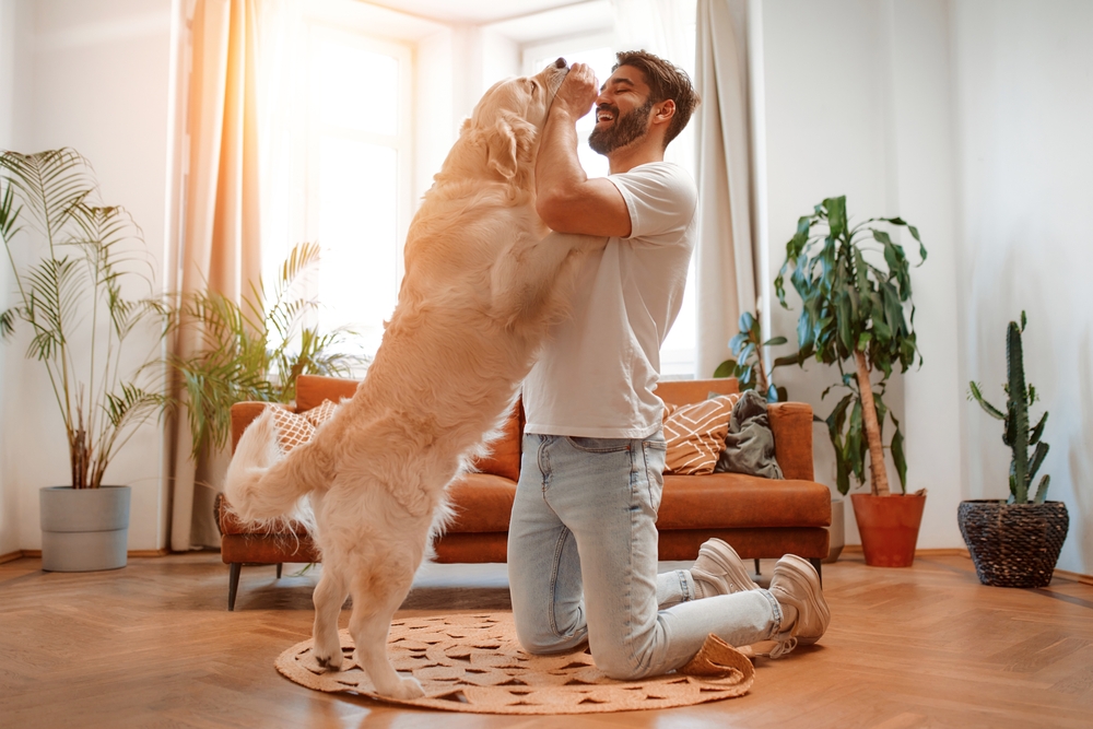 How Much Should I Feed My Dog