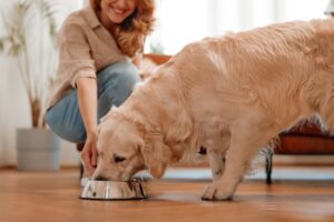 How Much Should I Feed My Dog