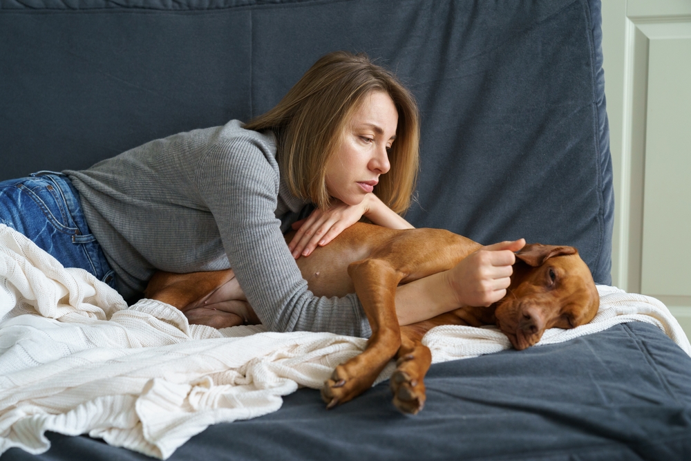 How Can I Keep My Dog's Immune System Strong