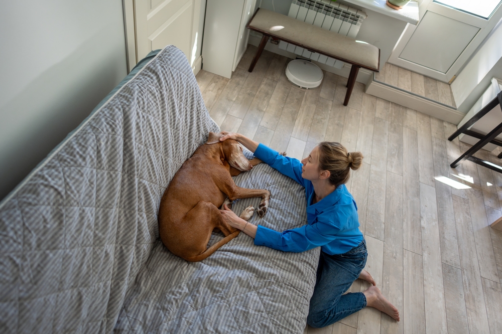How Can I Keep My Dog's Immune System Strong