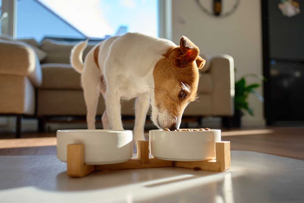 puppy nutrition guide Australia